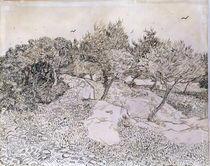 van Gogh, 'Olivenhain bei Montmajour' von klassik art