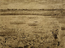 V.van Gogh, Sumpflandschaft von klassik art