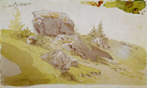 C.D.Friedrich, Wiesenstueck Riesengebirge von klassik art