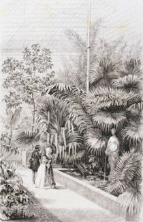 Paris, Jardin des Plantes, Gewaechshaus von klassik art