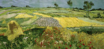V.v.Gogh, Ebene von Auvers (Felder) by klassik art