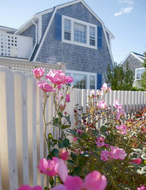 Spring House with Roses by Christopher Seufert