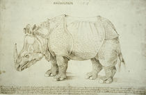 A.Duerer, Rhinozeros / Federzeichnung von klassik art