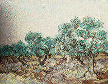 Van Gogh/ Olivenpfluecker/ 1889 von klassik art