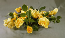 gelbe Rosen in einer Schale / Foto by klassik art