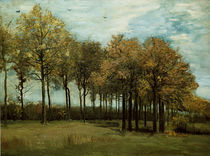 v.Gogh, Herbstlandschaft by klassik art
