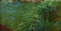Claude Monet, Wasserpflanzen by klassik art