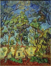 V.van Gogh, Heilanstalt in Saint von klassik art