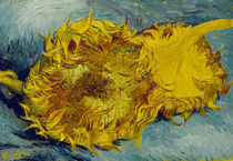 Van Gogh/Zwei abgeschnittene Sonnenbl. by klassik art