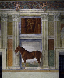 Mantua, Palazzo del Te, Sala dei Cavalli by klassik art