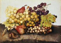 G.Garzoni, Stilleben mit Weintrauben von klassik art