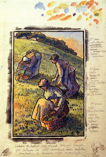 C.Pissarro, Kraeuter suchende Frauen by klassik art