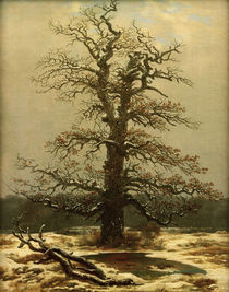 C.D.Friedrich, Eiche im Schnee by klassik art