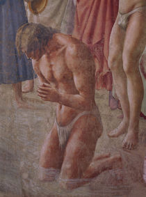 Masaccio, Petrus tauft Neophyten, Auss. von klassik art