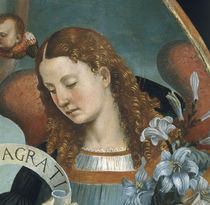 L.Signorelli, Kopf des Erzengels Gabriel by klassik art