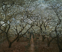 C.Monet, Bluehender Obstgarten von klassik art