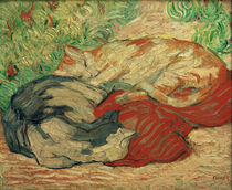 F.Marc, Katzen auf rotem Tuch von klassik art
