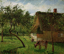 C.Pissarro, Obstgarten in Varengeville von klassik art