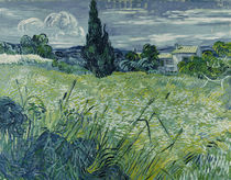 Van Gogh/ Gruenes Weizenfeld mit Zypresse by klassik art