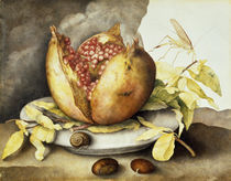 G.Garzoni, Teller mit Granatapfel by klassik art