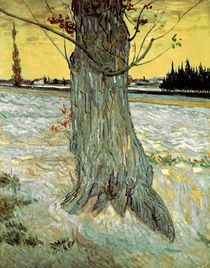 Van Gogh/ Der Baum/ 1888 von klassik art