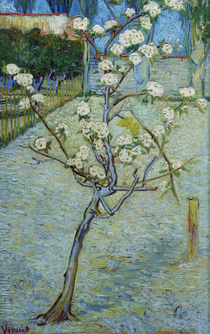 van Gogh, Birnenbaum in Bluete by klassik art