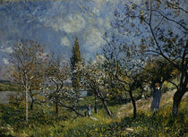 Sisley/ Obstgarten im Fruehling/ 1881 von klassik art