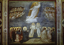 Giotto, Christi Himmelfahrt by klassik art
