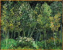 van Gogh, Waeldchen von klassik art