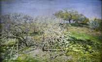 C.Monet, Fruehling. Bluehende Apfelbaeume von klassik art