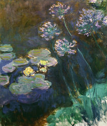 C.Monet, Seerosen und Agapanthus by klassik art
