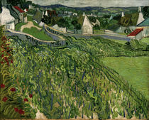 V.v.Gogh, Weinberge mit Blick auf Auvers von klassik art