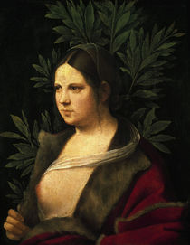 zu Petrarca, Laura, Gem.v.Giorgione by klassik art