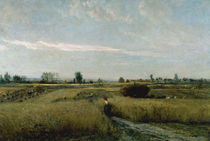 C.F.Daubigny, Moisson by klassik art