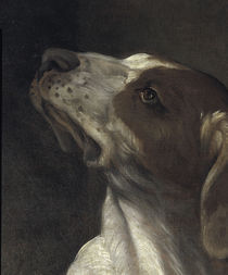 G.Reni, Hl.Rochus, Ausschn.: Hund by klassik art