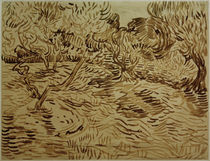 V.van Gogh, Olivenhain von klassik art