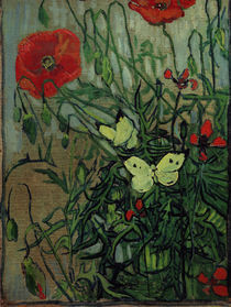 van Gogh, Schmetterlinge auf Mohnblueten von klassik art