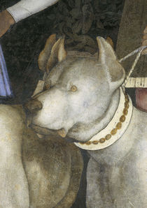 A.Mantegna, Camera d.Sposi, Hund von klassik art