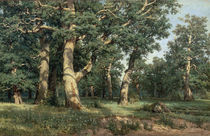 Schischkin, Eichenhain/ 1887 by klassik art