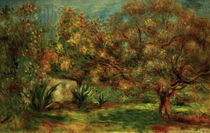 A.Renoir, Olivengarten by klassik art