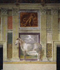 Giulio Romano, Pferd der Gonzaga von klassik art