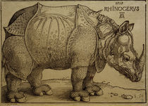 A.Duerer, Rhinozeros / Holzschnitt, 1515 by klassik art