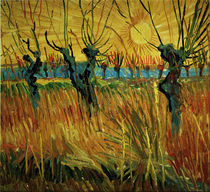 Van Gogh/Weiden bei Sonnenuntergang/1888 von klassik art