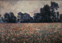 C.Monet, Mohnblumen bei Giverny by klassik art