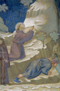 Giotto, Quellwunder by klassik art