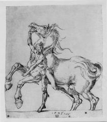 A.Duerer, Nackter Mann mit Pferd von klassik art