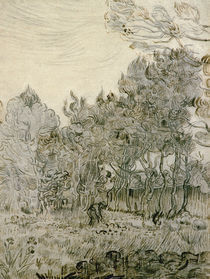 V.van Gogh, Im Park der Heilanstalt von klassik art