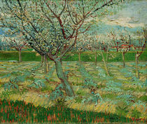 V.van Gogh, Bluehender Obstgarten von klassik art