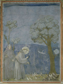 Giotto, Franziskus predigt den Voegeln by klassik art