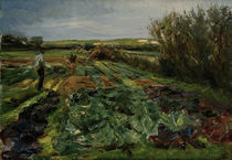 Max Liebermann, Das Kohlfeld by klassik art